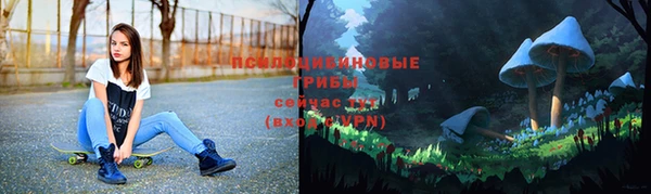 бутират Ельня