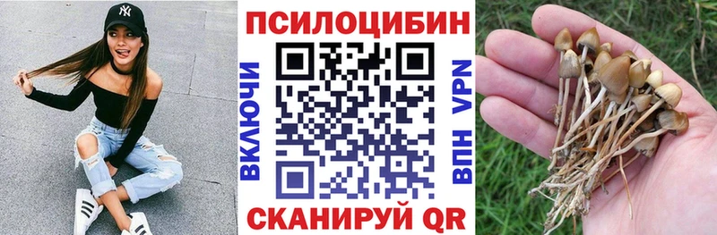Галлюциногенные грибы Cubensis  Купить где  Александровск-Сахалинский 